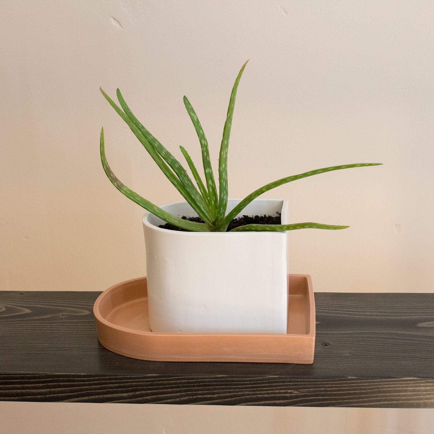 Planter | Small Arch